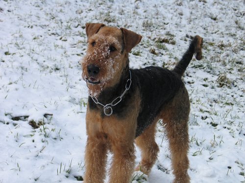 Quentin-Bommel 2 Jahre